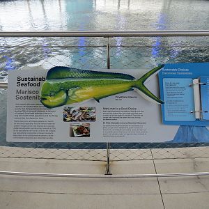 Aquarium - Gulf Stream Exhibit - Vista Level - Sign