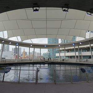 Aquarium - Gulf Stream Exhibit - Vista Level