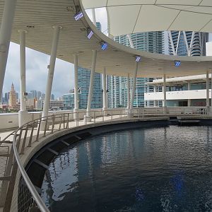 Aquarium - Gulf Stream Exhibit - Vista Level
