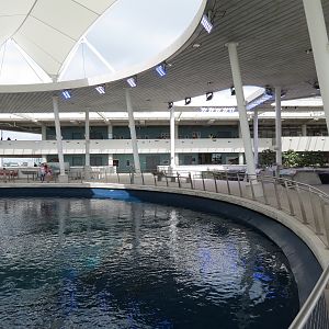 Aquarium - Gulf Stream Exhibit - Vista Level