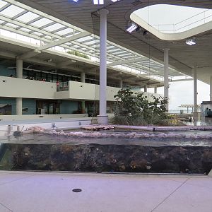 Aquarium - Coral Reef Exhibit - The Vista Level