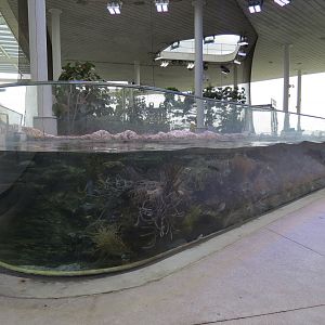 Aquarium - Coral Reef Exhibit - The Vista Level