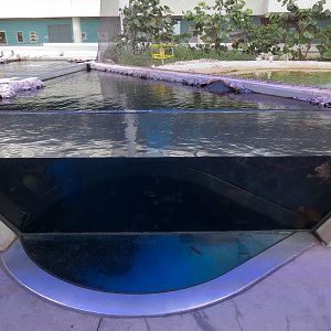 Aquarium - Florida Reef Exhibit - The Vista Level