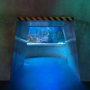 Aquarium - Florida Reef Exhibit - The Dive Level - Visitor Crawl Tunnel