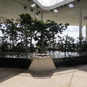 Aquarium - Aviary Interior