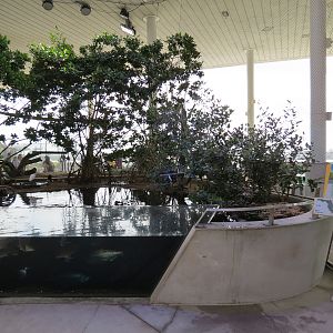 Aquarium - Florida Coast Exhibit - The Vista Level