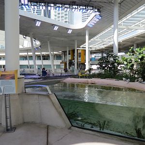 Aquarium - Aviary - Beach Exhibit
