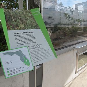 Aquarium - Gopher Tortoise Exhibit