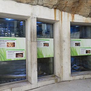 Aquarium - 5 Snake Exhibits