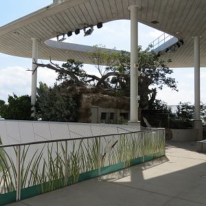 Aquarium - The Vista