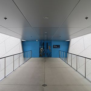 Aquarium - The Dive Entrance