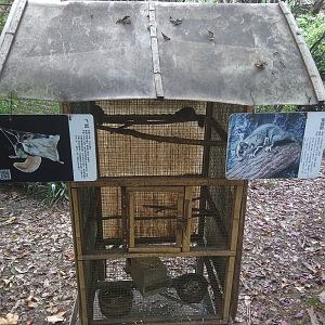 Flying Squirrel Cage