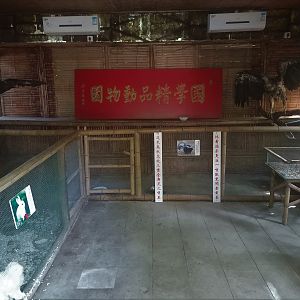 Rabbit and Skunk Exhibits