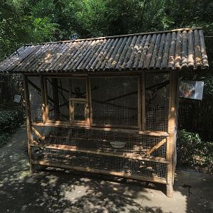 Squirrel Monkey Cage