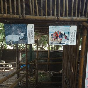 Yak and Deer Signage