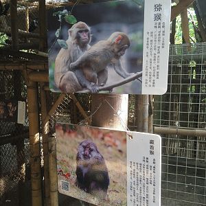 Monkey Signage