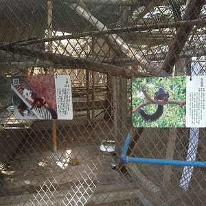 Giant (Flying) Squirrel Signage