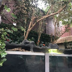 Exhibit within Orangutan Forest 050819