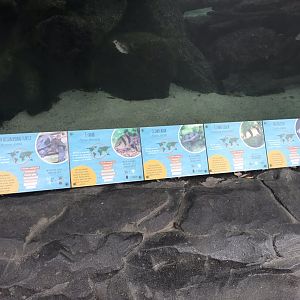 Inhabitants of aquarium exhibit in Orangutan Forest 050819