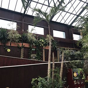 Orangutan Forest interior view 050819