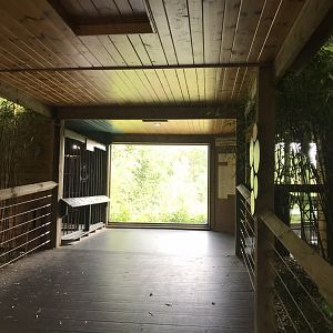 Bears of the Rising Sun interior view 050819