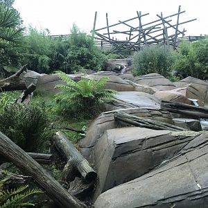 Sun bear exhibit 050819