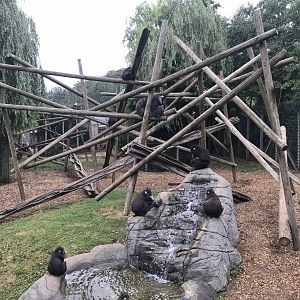 Mandrill exhibit 050819