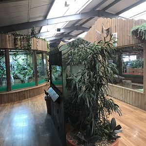 Kingdom of the Wild - interior view 050819