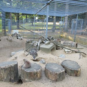 Prairie Dog Exhibit