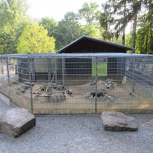 Prairie Dog Exhibit