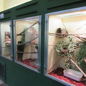 Various Vivariums