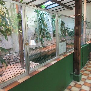 Yacare Caiman Exhibit