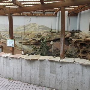 Meerkat Exhibit - very small