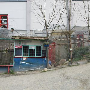 Cockatoo/Macaw/Agouti 'Ramshackle' Exhibit