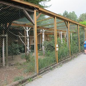 Demoiselle Crane/Black-crowned Night Heron Exhibit