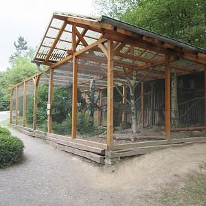 Great Grey Owl/Lady Amherst's Pheasant Exhibit
