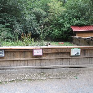 Small-clawed Otter Exhibit
