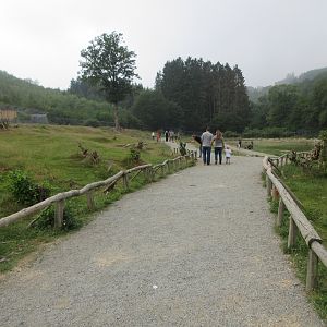 Barbary Macaque Walk-through Exhibit