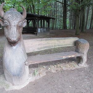 Wisent Bench