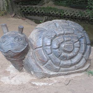 Snail Carving
