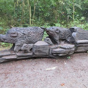 European Wild Boar Carving