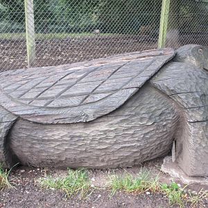 Tortoise Carving