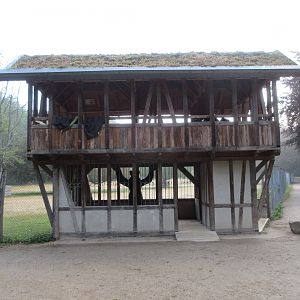 Lookout into Mouflon Exhibit