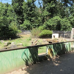 European Otter Exhibit #2