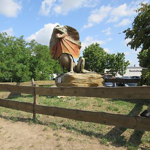 Frilled Lizard Statue (enormous!)