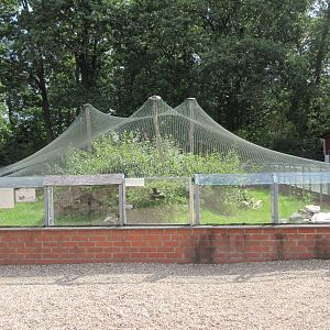 European Adder Exhibit (fantastic!)