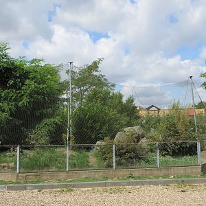 European Adder Exhibit (fantastic!)