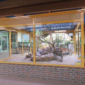 Desert Species Exhibit