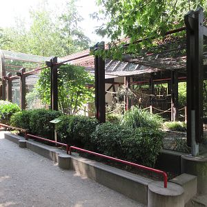 Budgie Walk-through Aviary