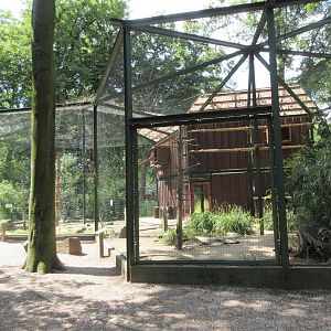 Eurasian Eagle Owl + Crow Exhibits